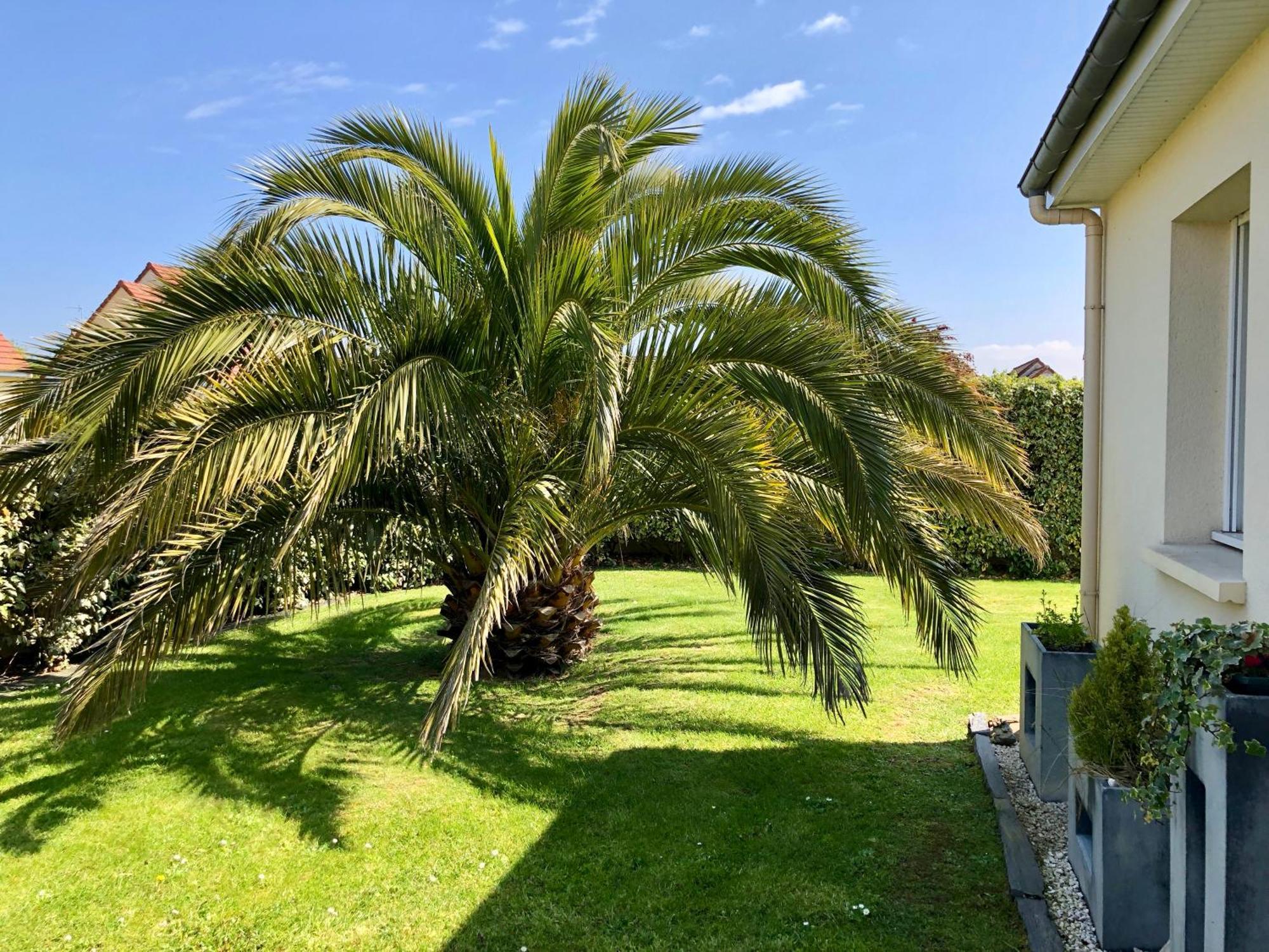 Les Palmiers gite 7 personnes plages du débarquement Grandcamp-Maisy Exterior foto