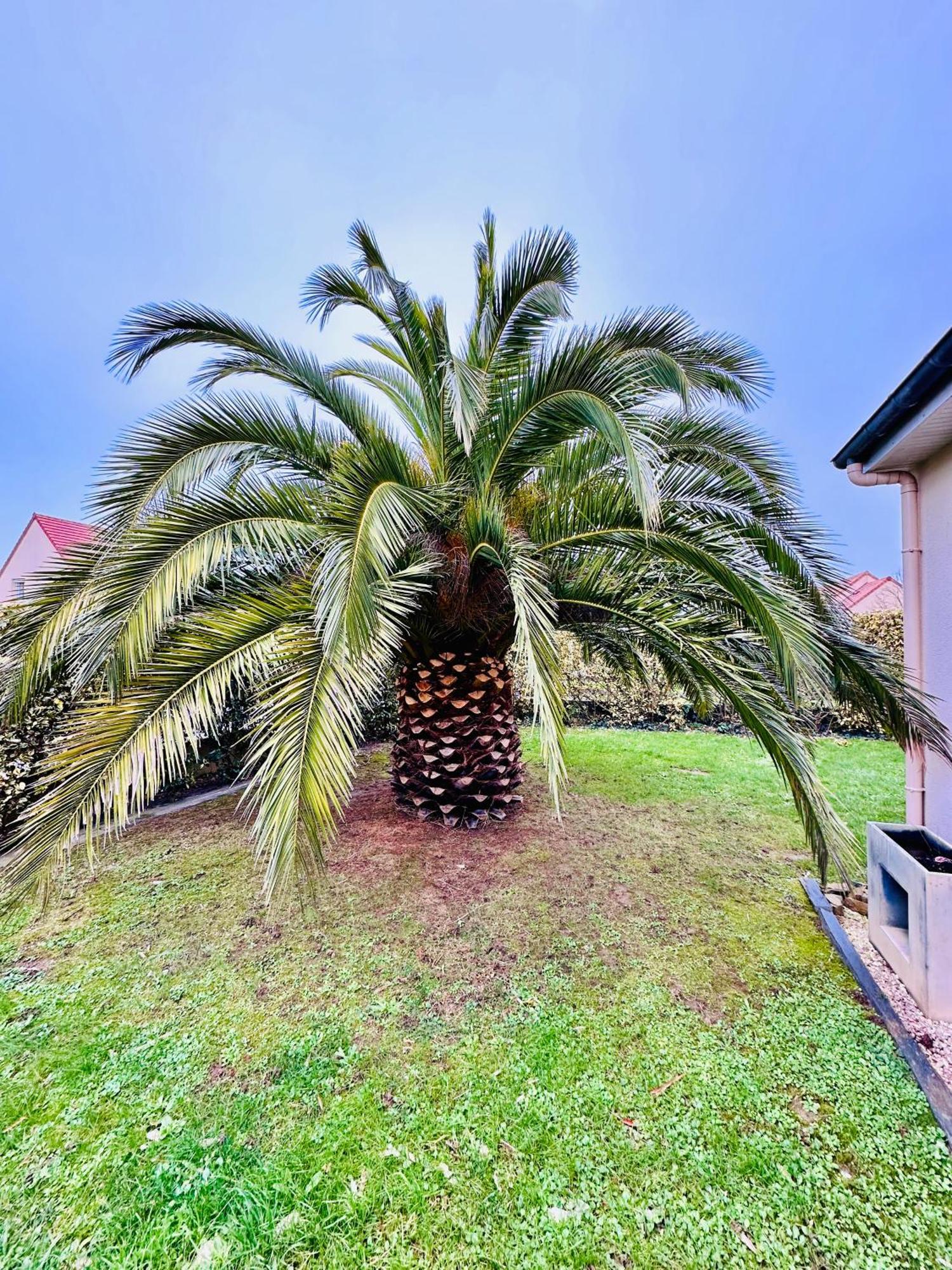 Les Palmiers gite 7 personnes plages du débarquement Grandcamp-Maisy Exterior foto