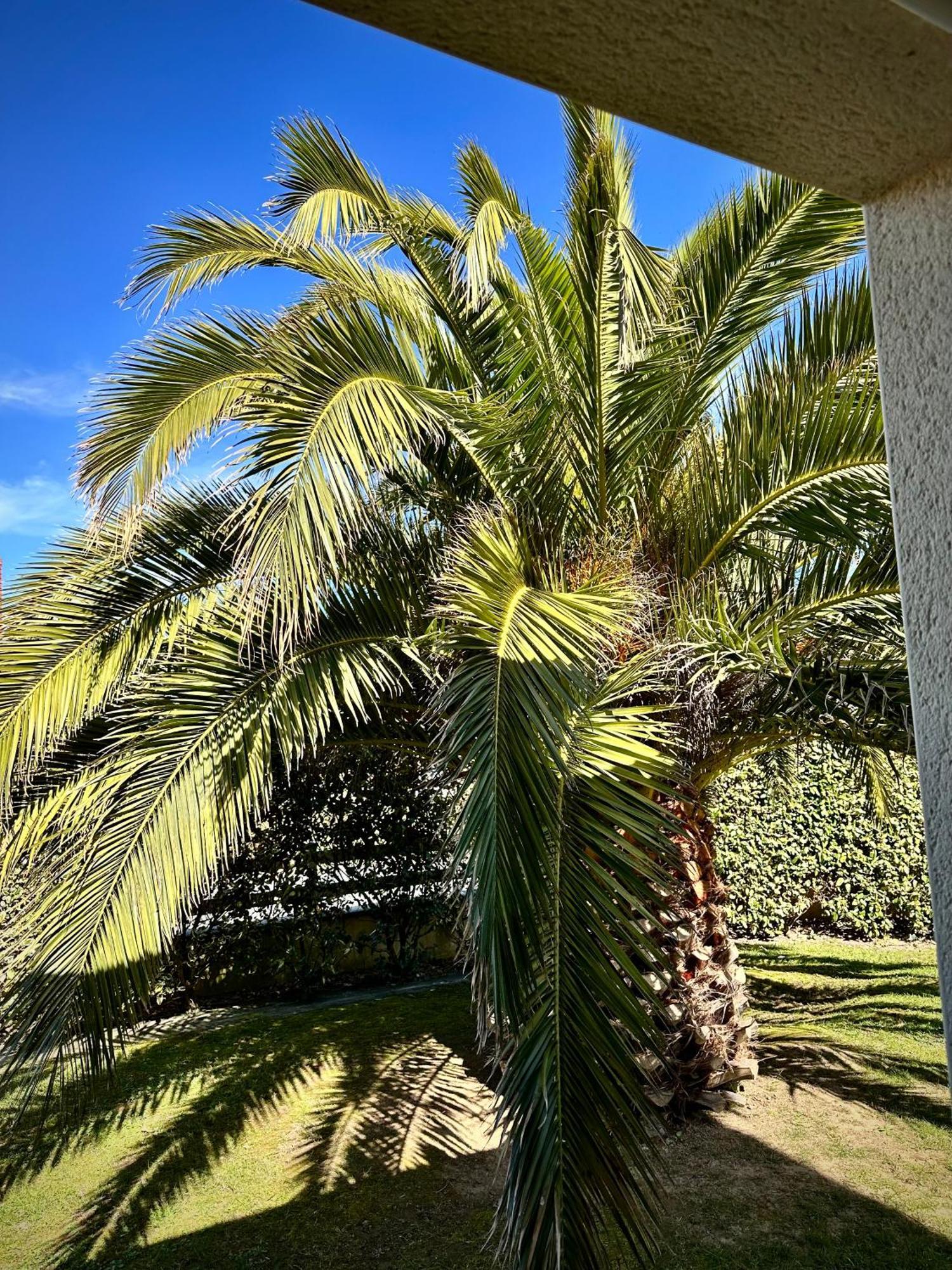 Les Palmiers gite 7 personnes plages du débarquement Grandcamp-Maisy Exterior foto